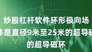 炒股杠杆软件环形极向场磁体是直径9米至25米的超导磁环