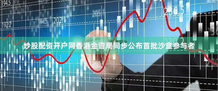 炒股配资开户网香港金管局同步公布首批沙盒参与者