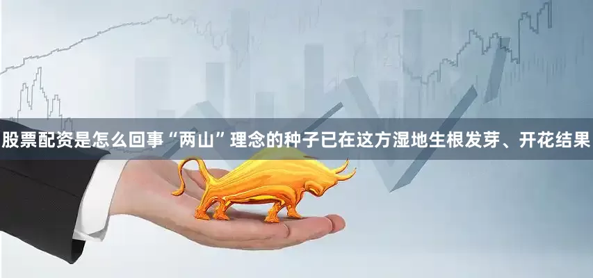 股票配资是怎么回事“两山”理念的种子已在这方湿地生根发芽、开花结果