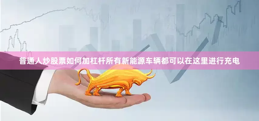 普通人炒股票如何加杠杆所有新能源车辆都可以在这里进行充电