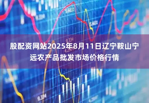 股配资网站2025年8月11日辽宁鞍山宁远农产品批发市场价格行情