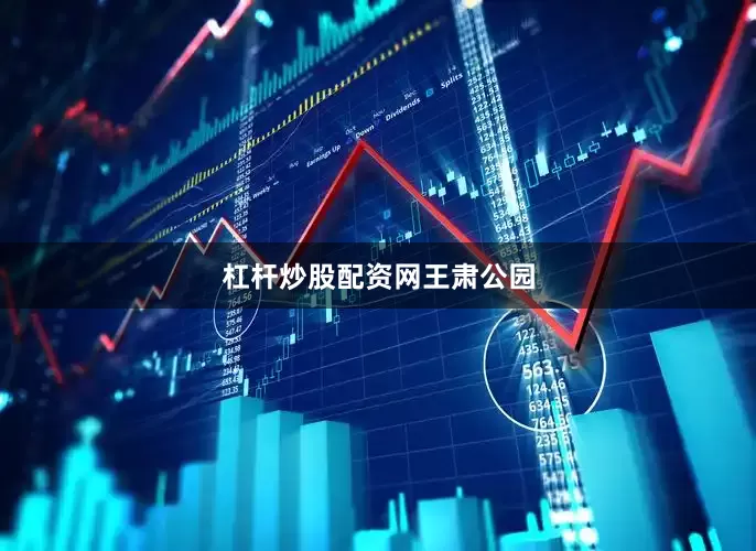杠杆炒股配资网王肃公园