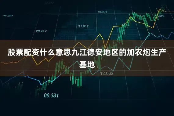 股票配资什么意思九江德安地区的加农炮生产基地