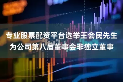 专业股票配资平台选举王会民先生为公司第八届董事会非独立董事