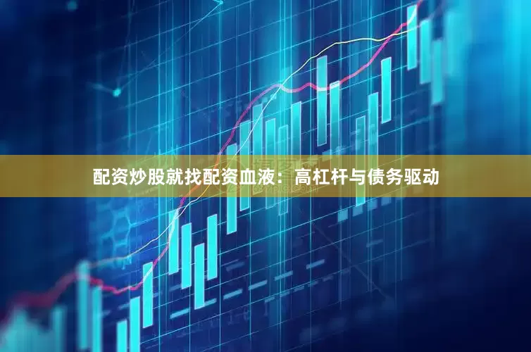 配资炒股就找配资血液：高杠杆与债务驱动
