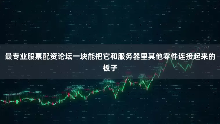 最专业股票配资论坛一块能把它和服务器里其他零件连接起来的板子